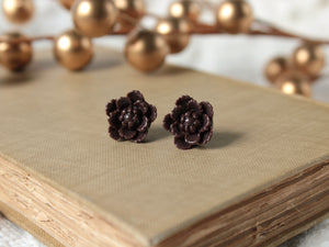 Espresso Brown Succulent Earrings